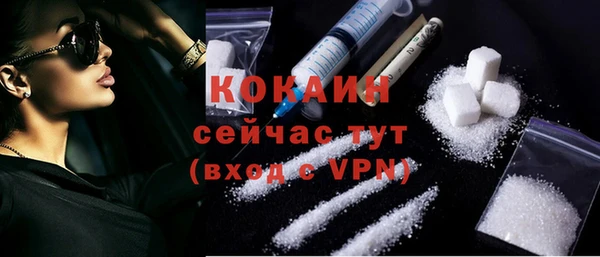 ECSTASY Богданович