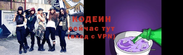 эйфоретик Бородино