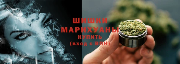 ECSTASY Богданович