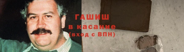 ECSTASY Богданович