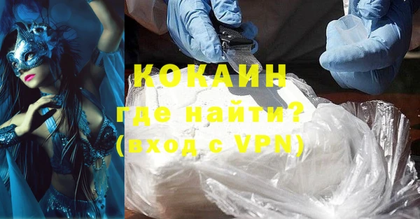 ECSTASY Богданович