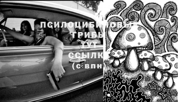 ECSTASY Богданович