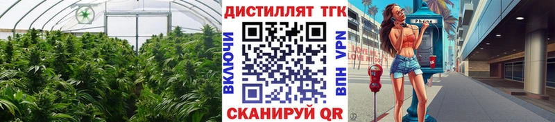 закладки  Городовиковск  ТГК THC oil 