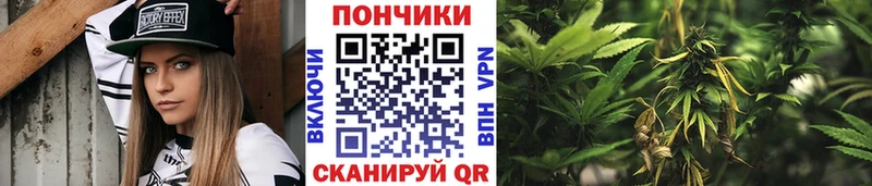 Конопля план Городовиковск